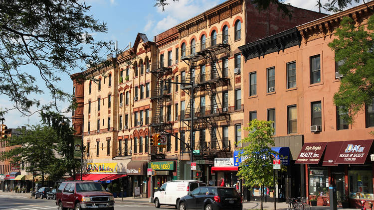 Vanderbilt Avenue, Prospect Heights