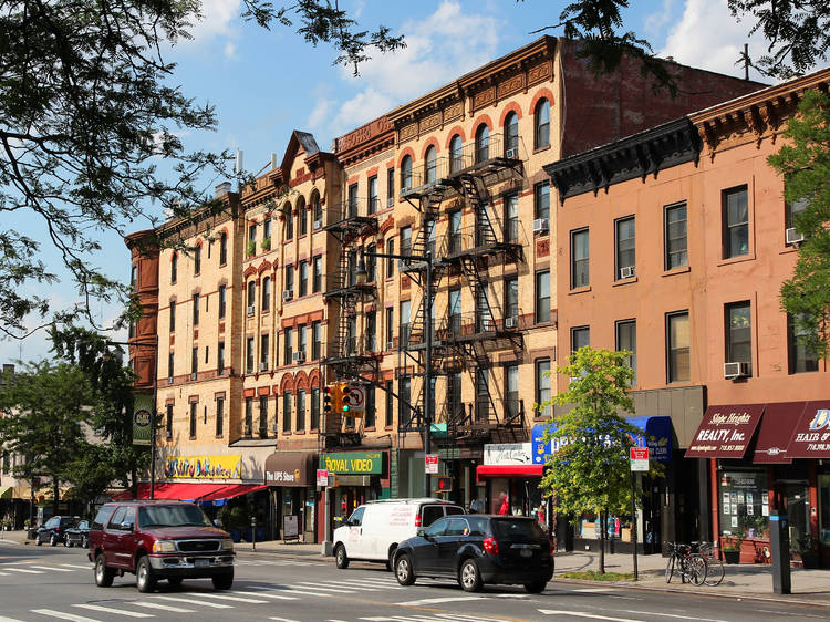 Vanderbilt Avenue, Prospect Heights