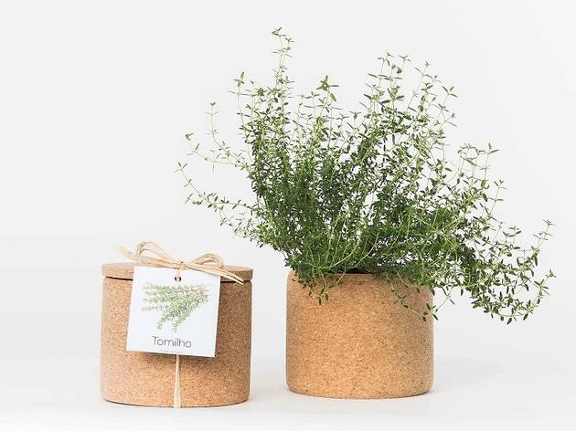 Grow Cork de tomilho da Life in a Bag Grow Cork de tomilho da Life in a Bag