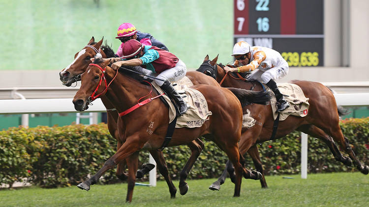The Stewards' Cup, Centenary Sprint Cup, and HK Classic Mile horse race