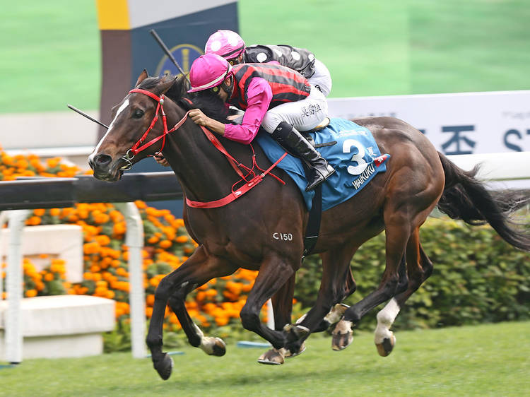 Hong Kong Jockey Clubs’ Chinese New Year Race Day