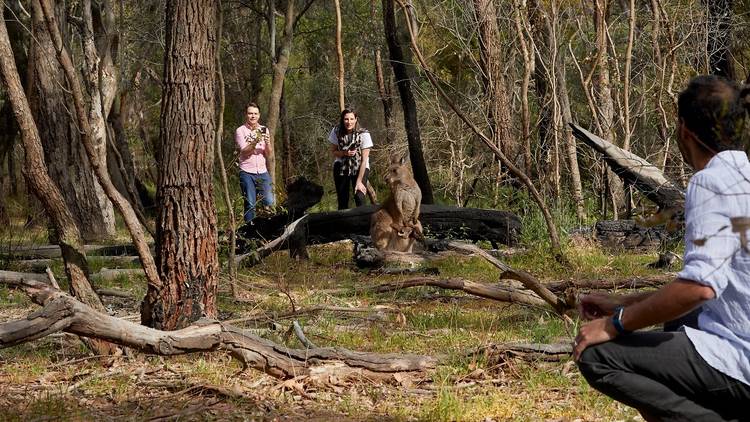 Churchill National Park