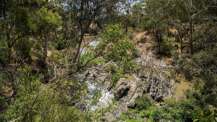 Plenty Gorge Parklands