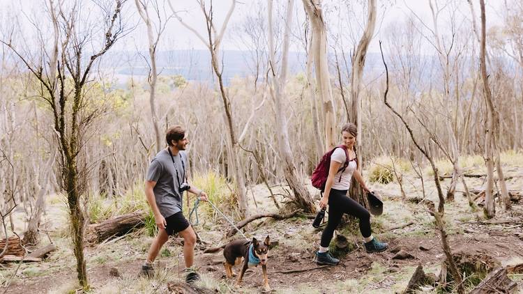 Mount Macedon