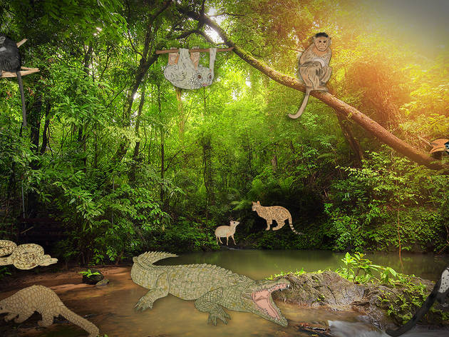 Animals Animals