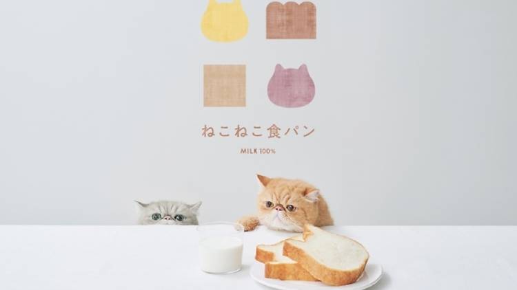 東京ねこねこ エキュート京葉ストリート店