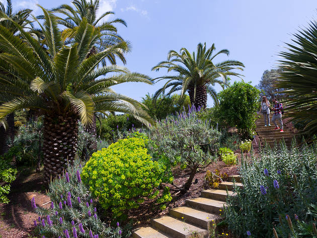 Jardí botànic de Barcelona Jardí botànic de Barcelona
