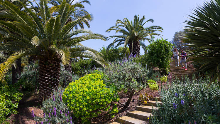 Jardín Botánico