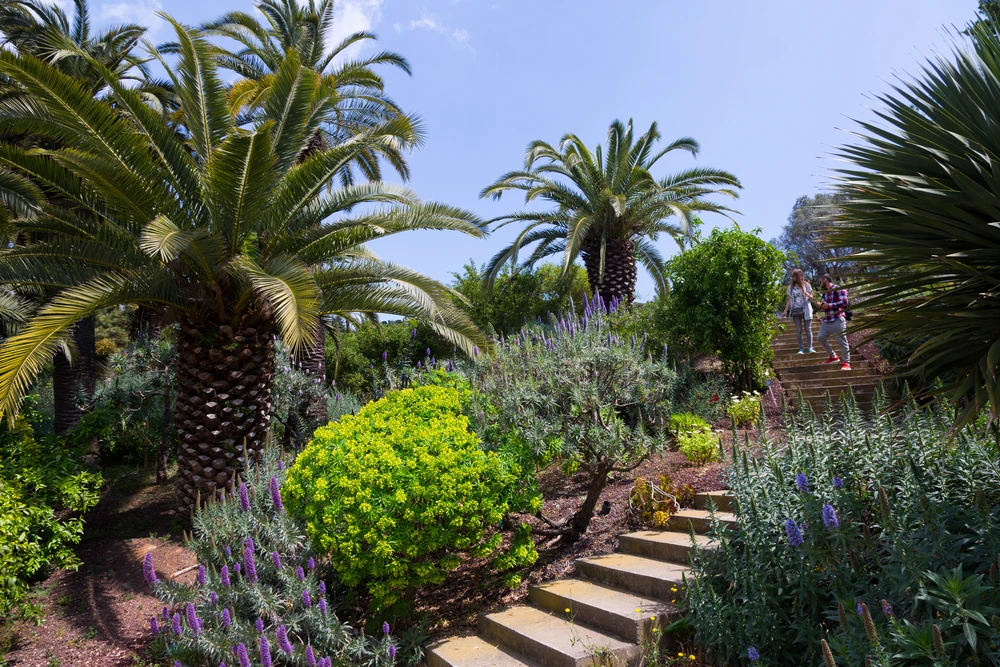 Jard&iacute; bot&agrave;nic de Barcelona