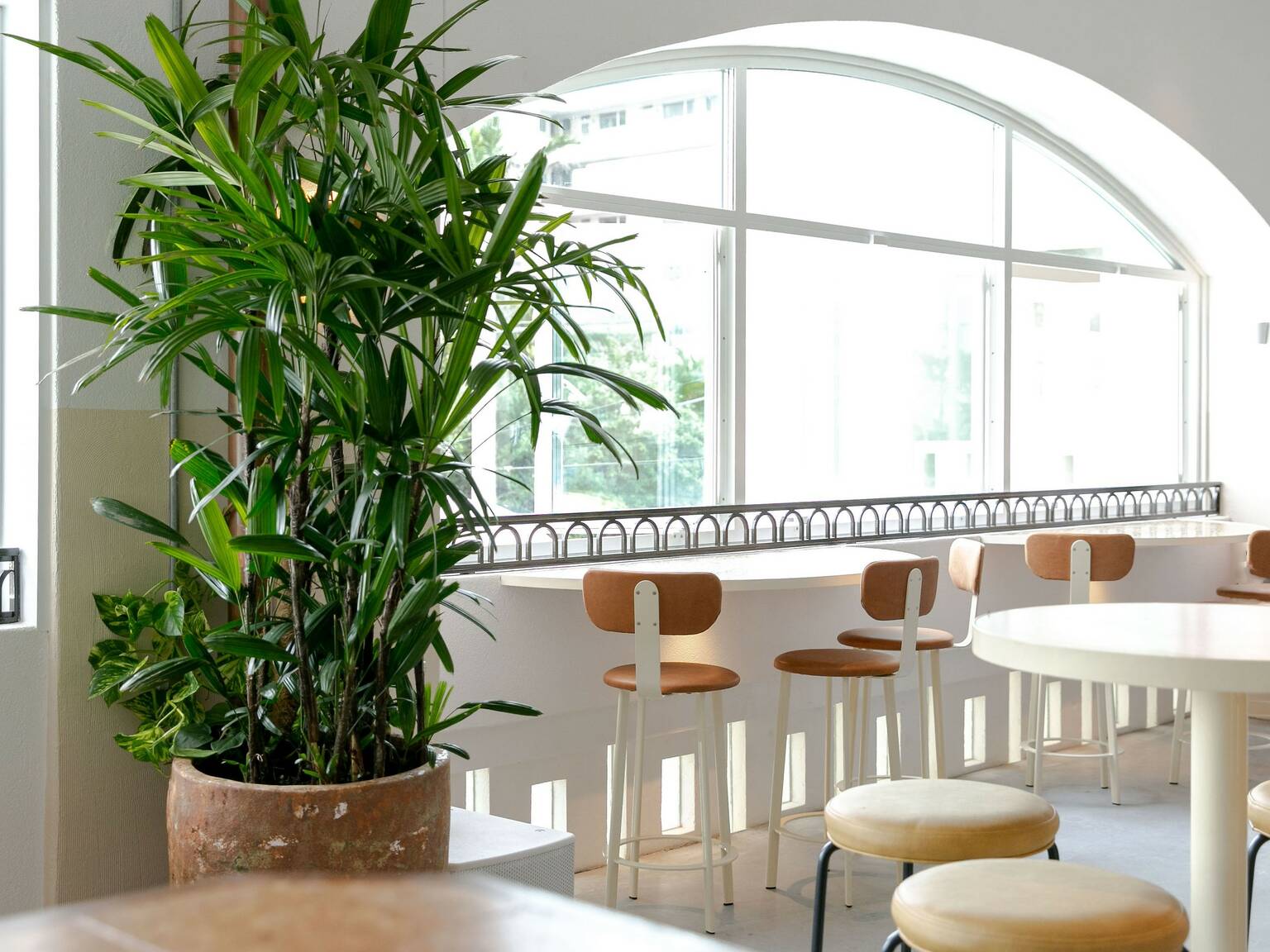 Best Sydney Bars by the Water Waterfront Bars in Sydney