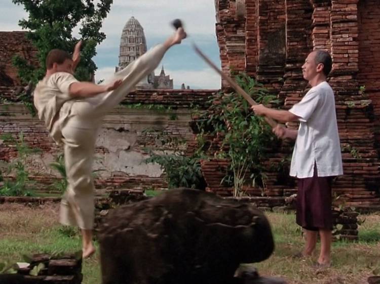 Kickboxer (1989)