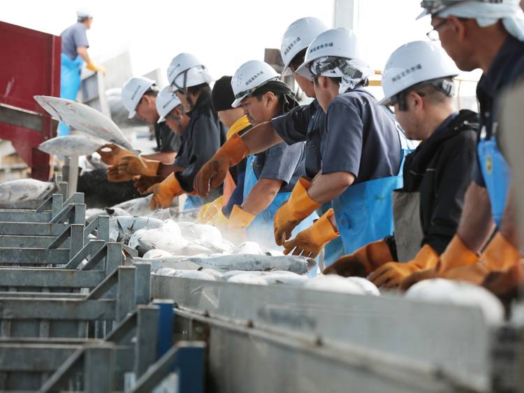 日本の食を考えるサステナブル特集