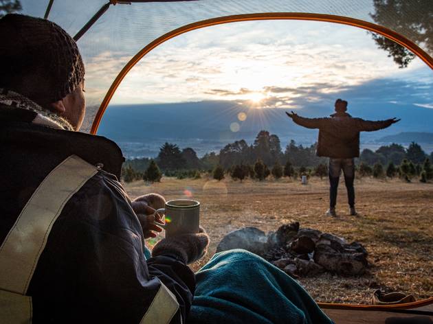Campamento San Valentín en el Bosque de los Árboles de Navidad Mujer bebe taza de café dentro de casa de acampar