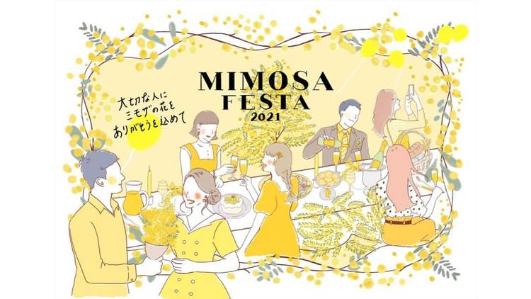 MIMOSA FESTA