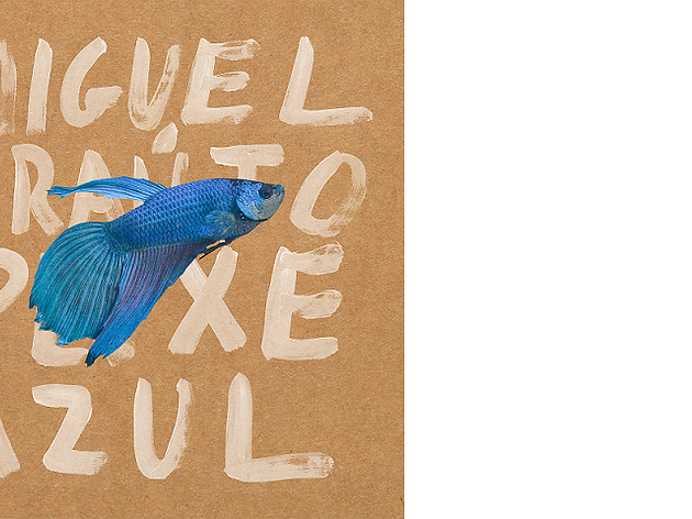 Miguel Araújo - Peixe Azul Miguel Araújo - Peixe Azul