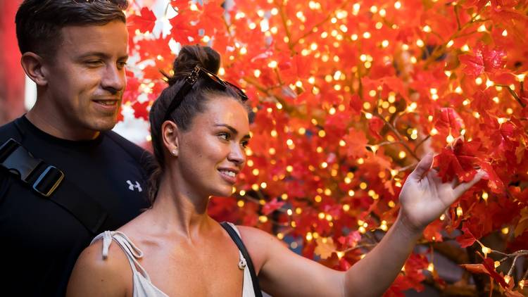 A couple interact with a red-leafed wishing tree