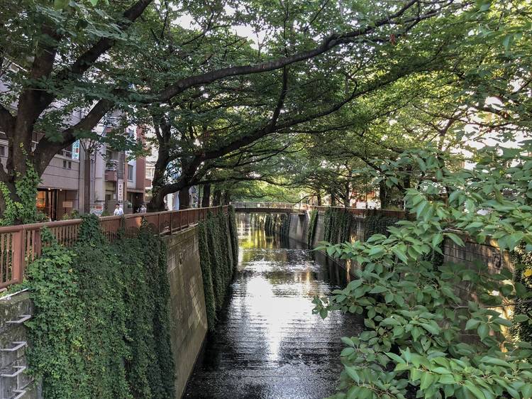 Best things to do in Nakameguro
