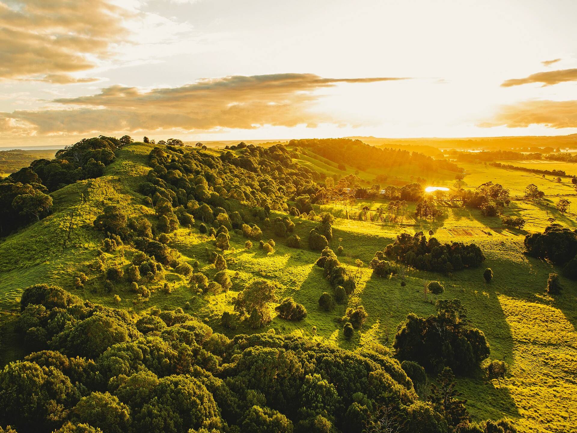 The 15 Best Road Trips in Australia | 2026 Guide