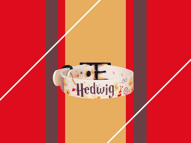 Collares para perros y gatos The Happy Belts Imagen de un collar para perro con diseño de Harry Potter