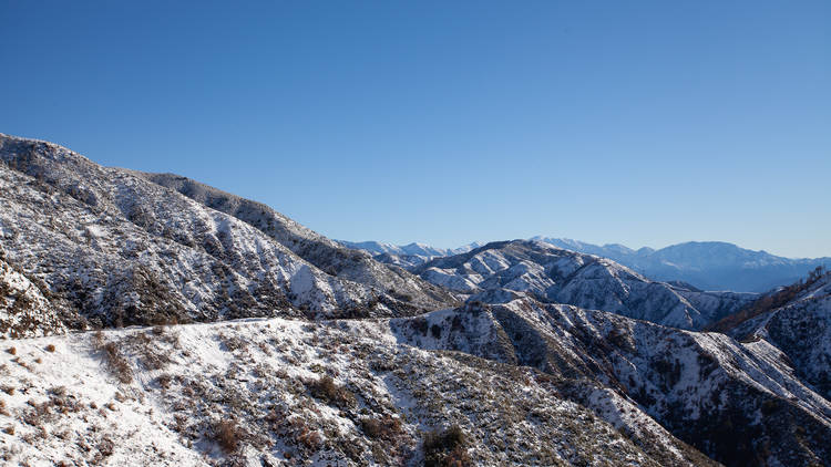 See some snow in our own backyard up Angeles Crest Highway