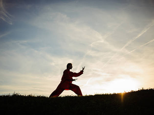Woman praticing tai chi chuan at sunset. Woman praticing tai chi chuan at sunset.
