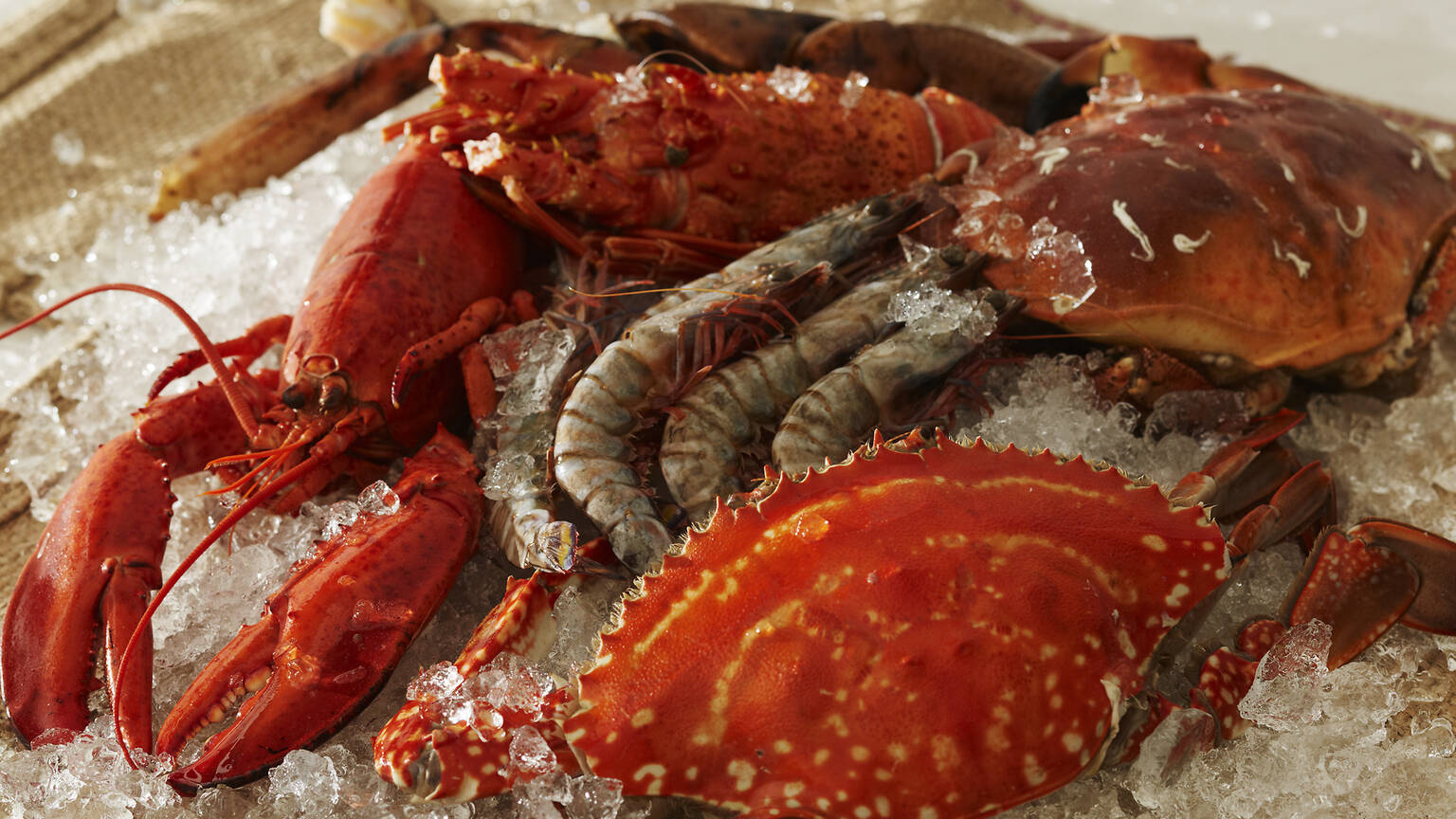 Dancing Crab Restaurants in Shinjuku, Tokyo