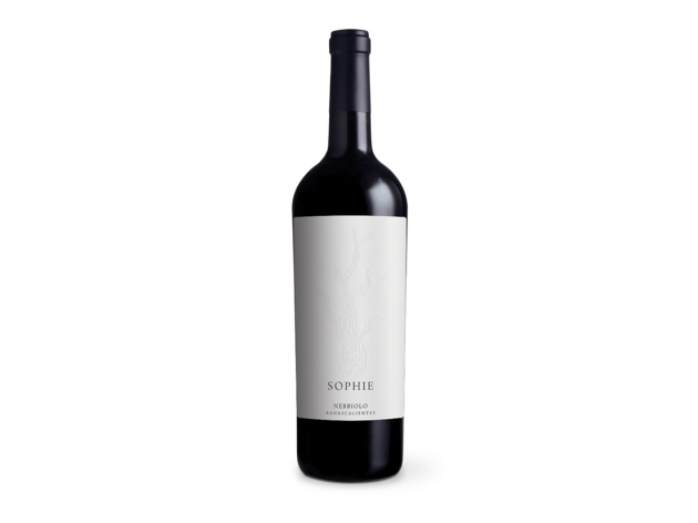 Sophie, Nebbiolo de Aguascalientes Sophie, Nebbiolo de Aguascalientes