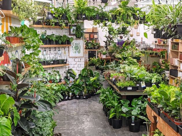 A Greener House A Greener House plant nursery in Brunswick
