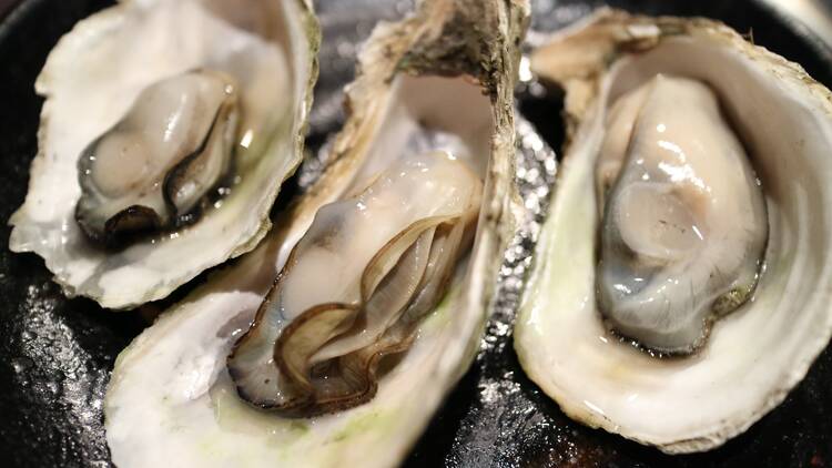 Oysters at Aptus Seafoods, South Melbourne Market 