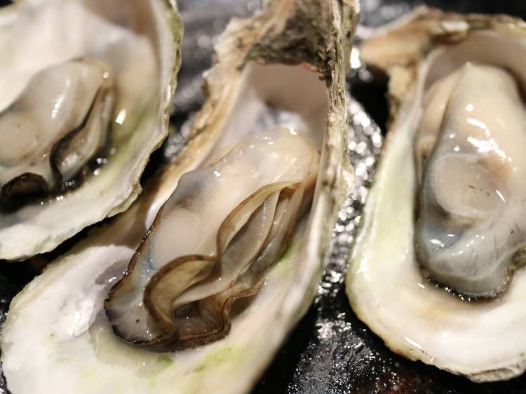 Oysters at Aptus Seafoods, South Melbourne Market 