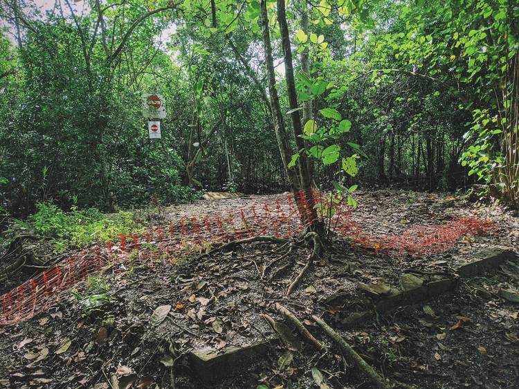 Abandoned villa