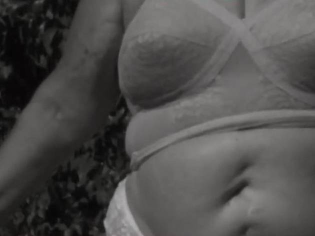 Cuerpos de la vejez Cuerpos de la vejez