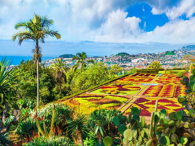 Madeira Botanical Gardens Madeira Botanical Gardens