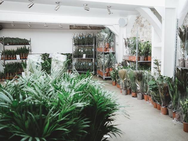 Maison Bouture. Tienda pop up de plantas Maison Bouture. Tienda pop up de plantas