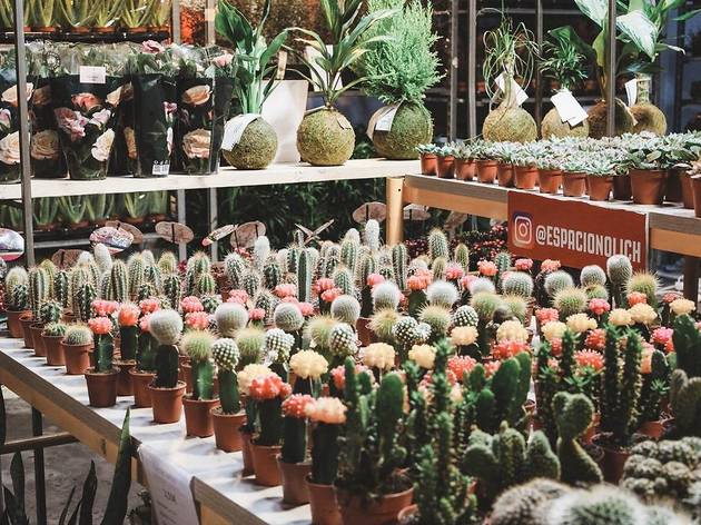Maison Bouture. Tienda pop up de plantas Maison Bouture. Tienda pop up de plantas