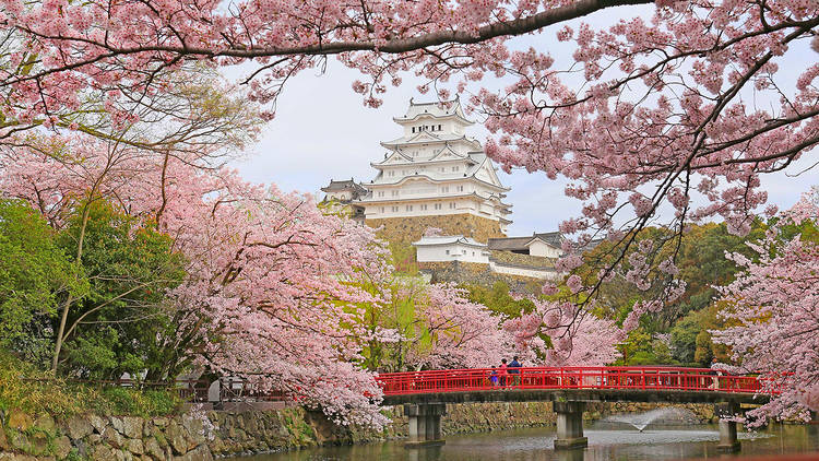 Himeji Castle, Hyogo