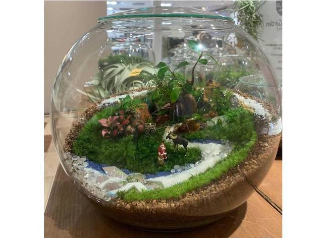 Feel The Garden Feel The Garden