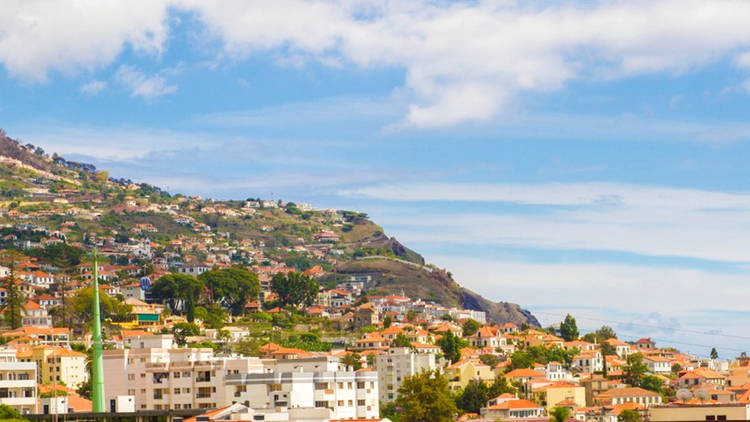 Hotel, Hotel Windsor, Ilha da Madeira