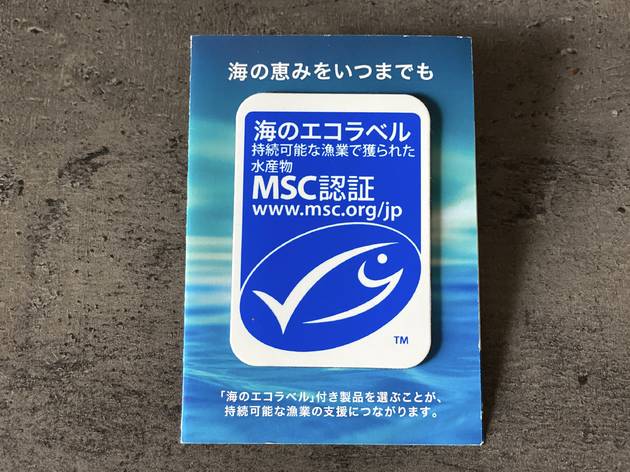 MSC MSC