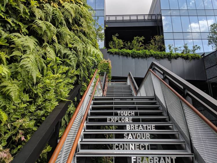 Shopping malls in Singapore with hidden green spaces