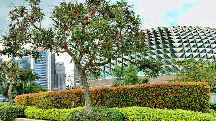 esplanade roof terrace