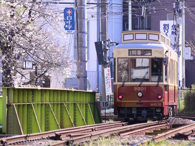 Toden Arakawa Line Sakura Tram Toden Arakawa Line Sakura Tram