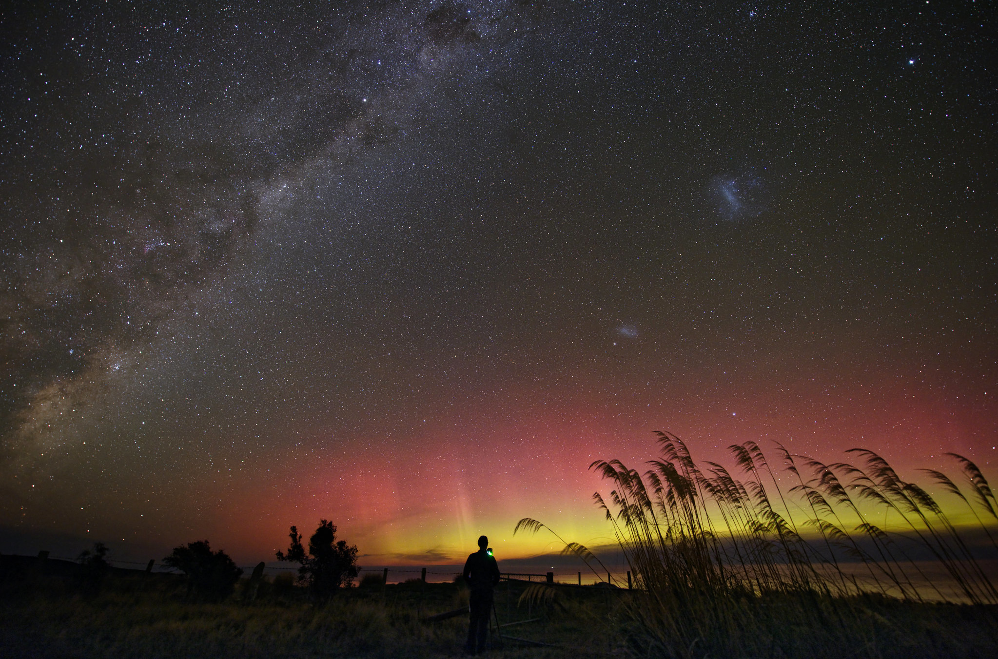 Northern light  The Australian