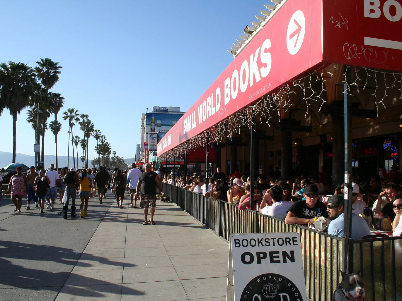 7 Best Things to Do in Venice Beach When Exploring the Boardwalk