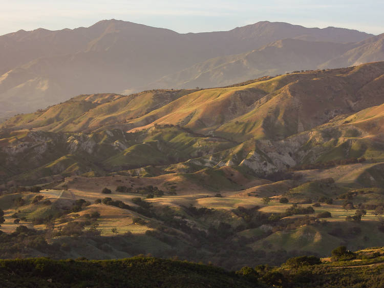 Los Padres National Forest