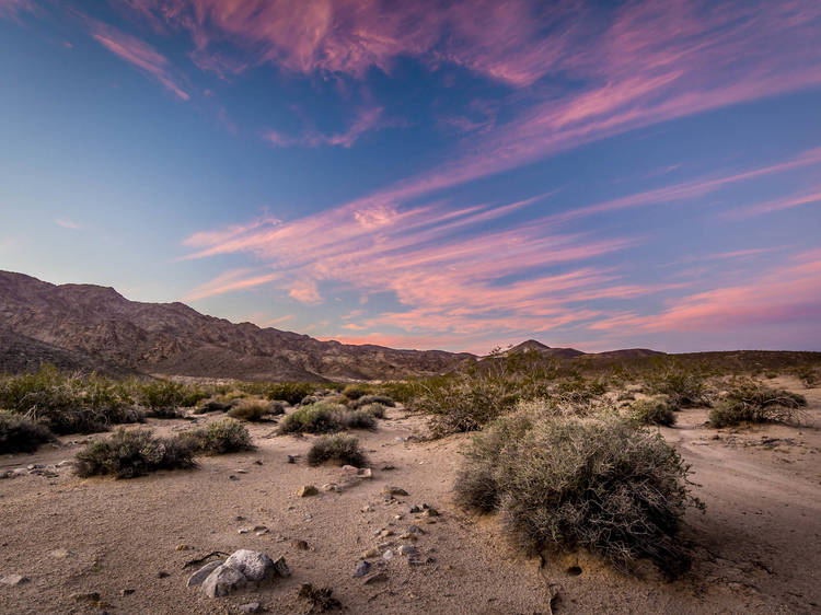 Mojave National Preserve