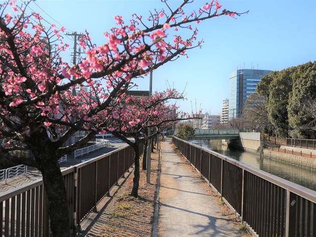Kyunaka River Kyunaka River