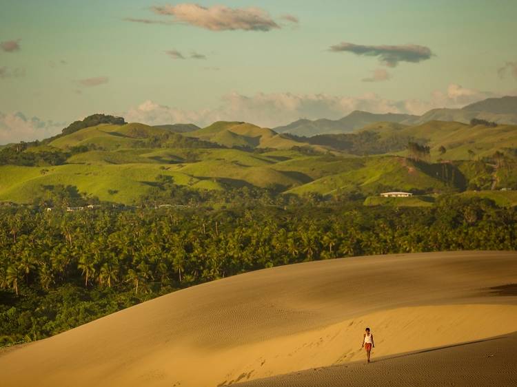 Explore a gigantic dune system