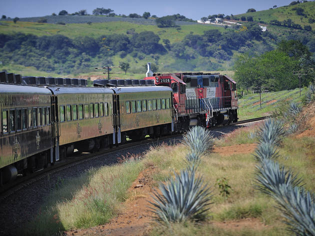 Travel Through Mexico On An All You Can Drink Tequila Train