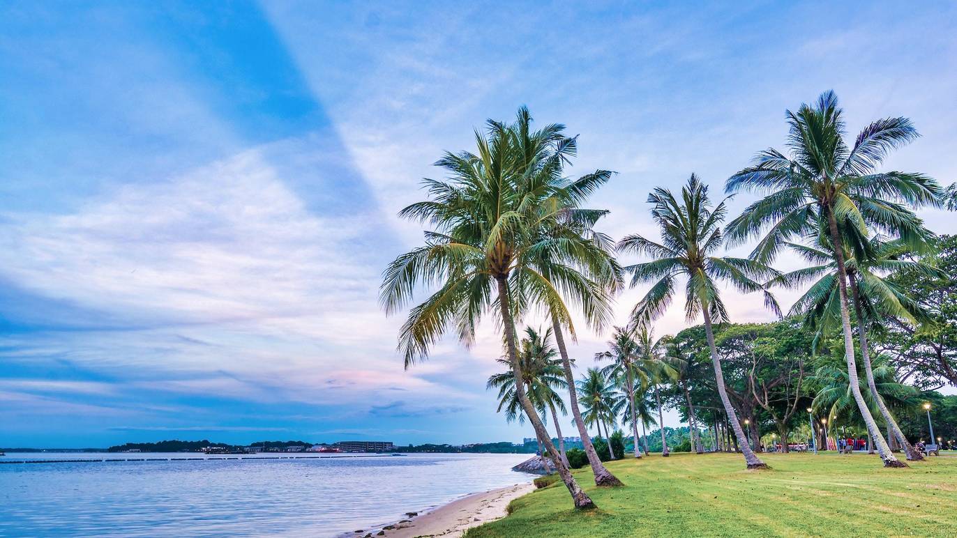 13 Best Parks And Beaches For Picnics In Singapore